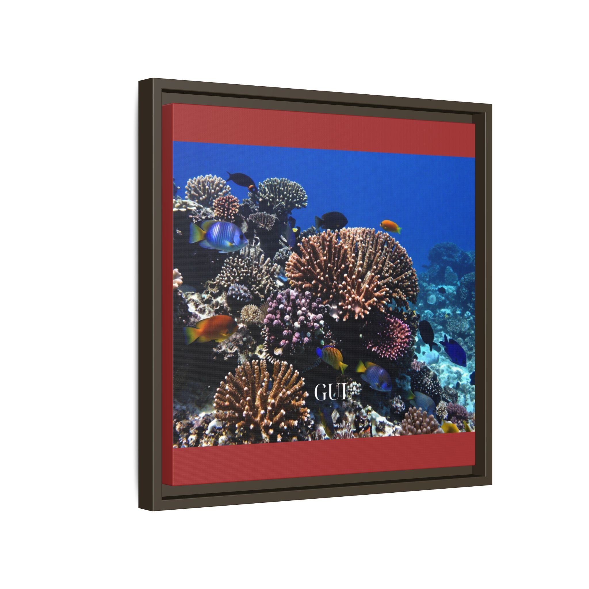 Framed Coral Reef Matte Canvas Wall Art — Tropical Ocean Photography Print