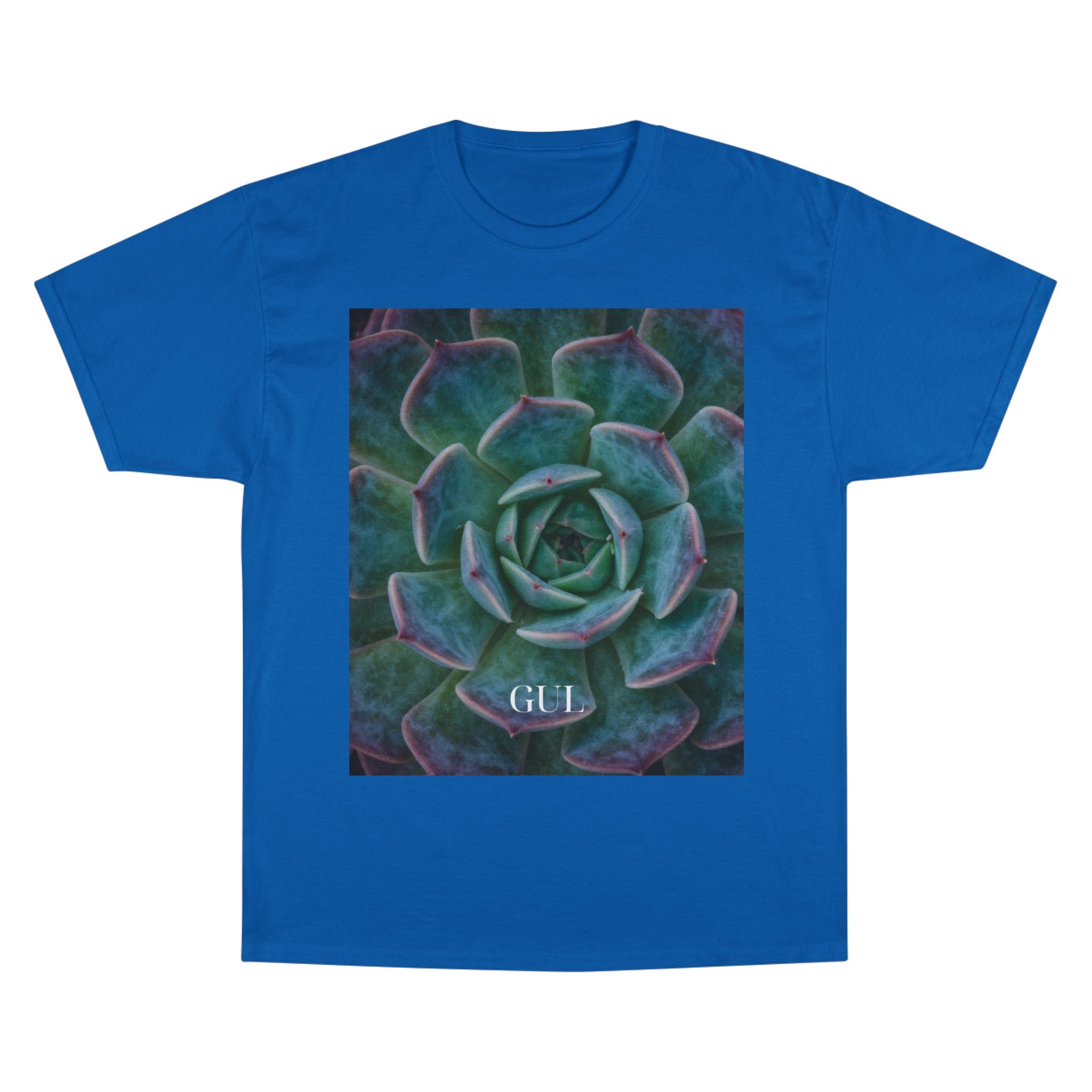 Champion Graphic T‑Shirt — Succulent & Pyramid Photo Print Tee