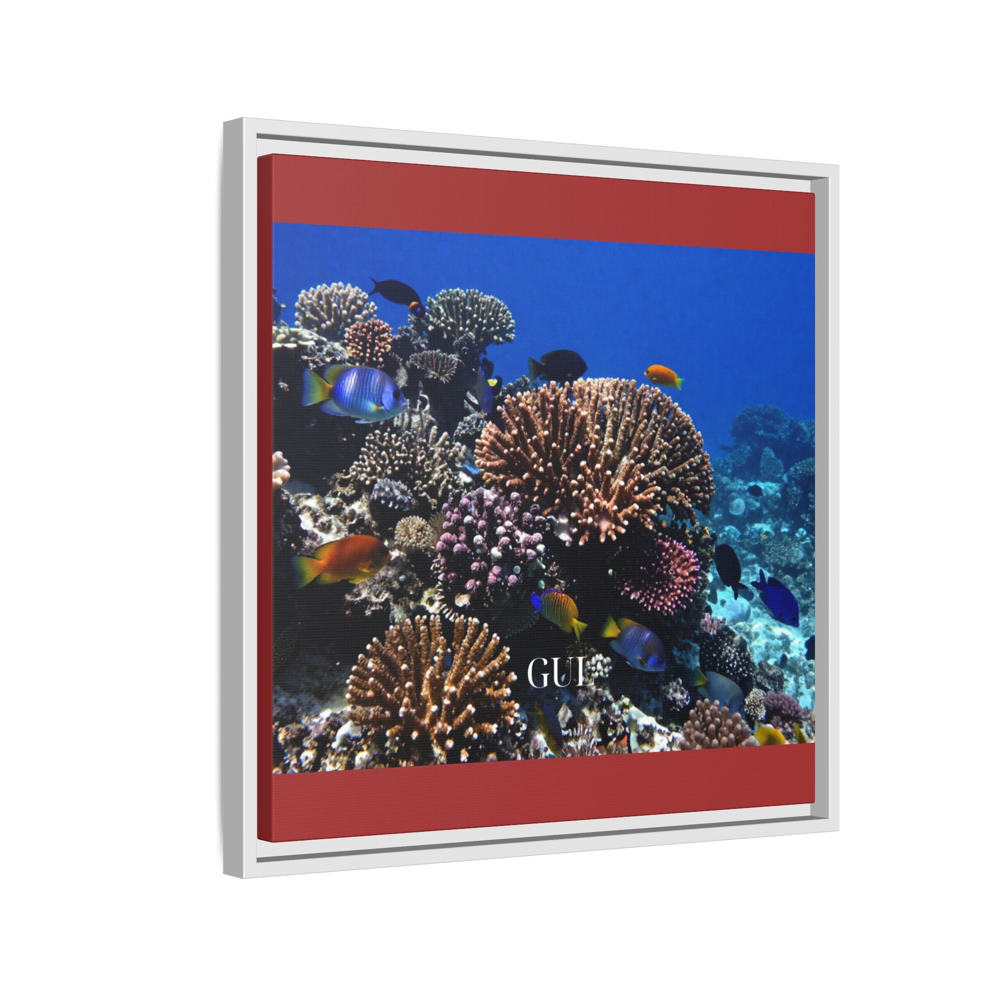 Framed Coral Reef Matte Canvas Wall Art — Tropical Ocean Photography Print