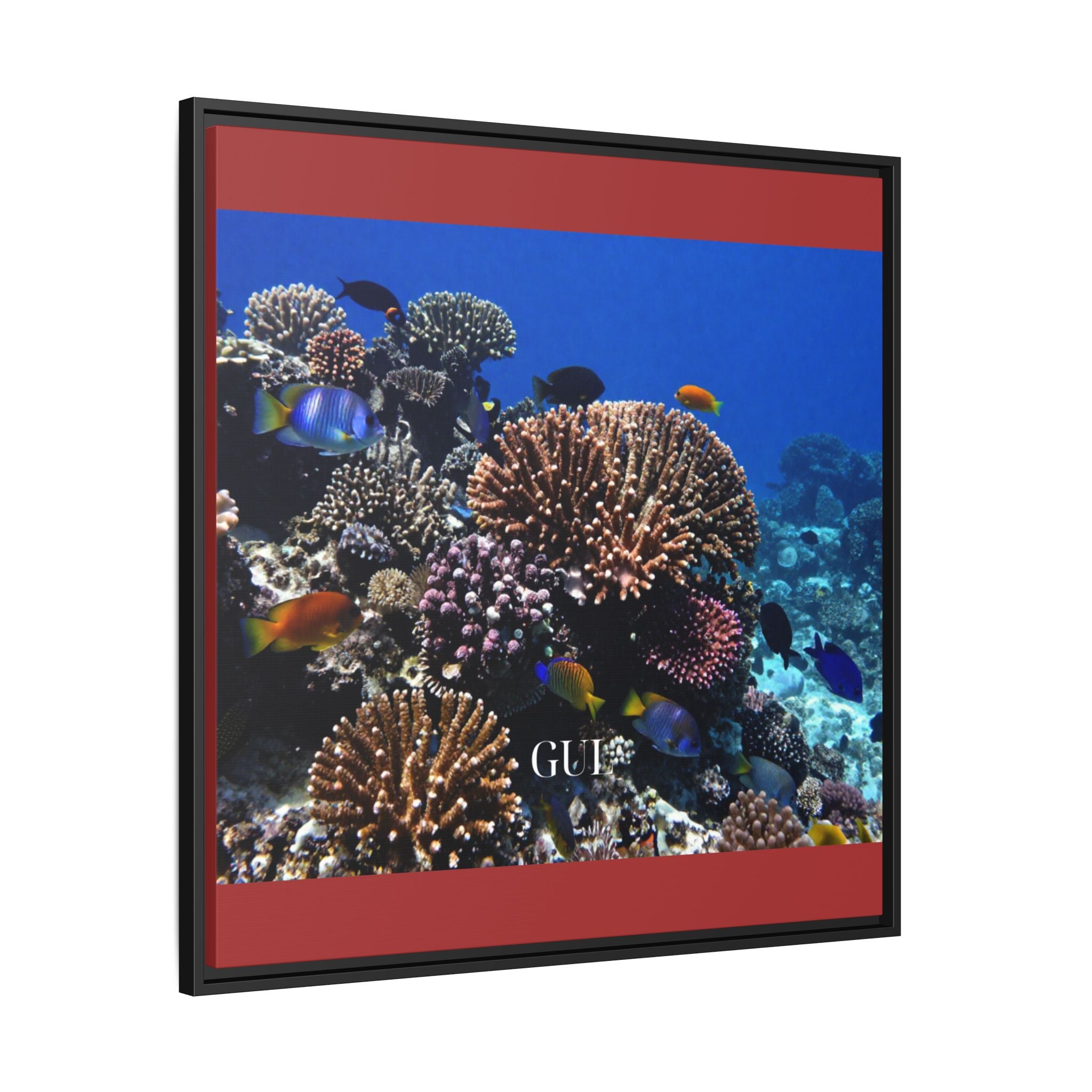 Framed Coral Reef Matte Canvas Wall Art — Tropical Ocean Photography Print