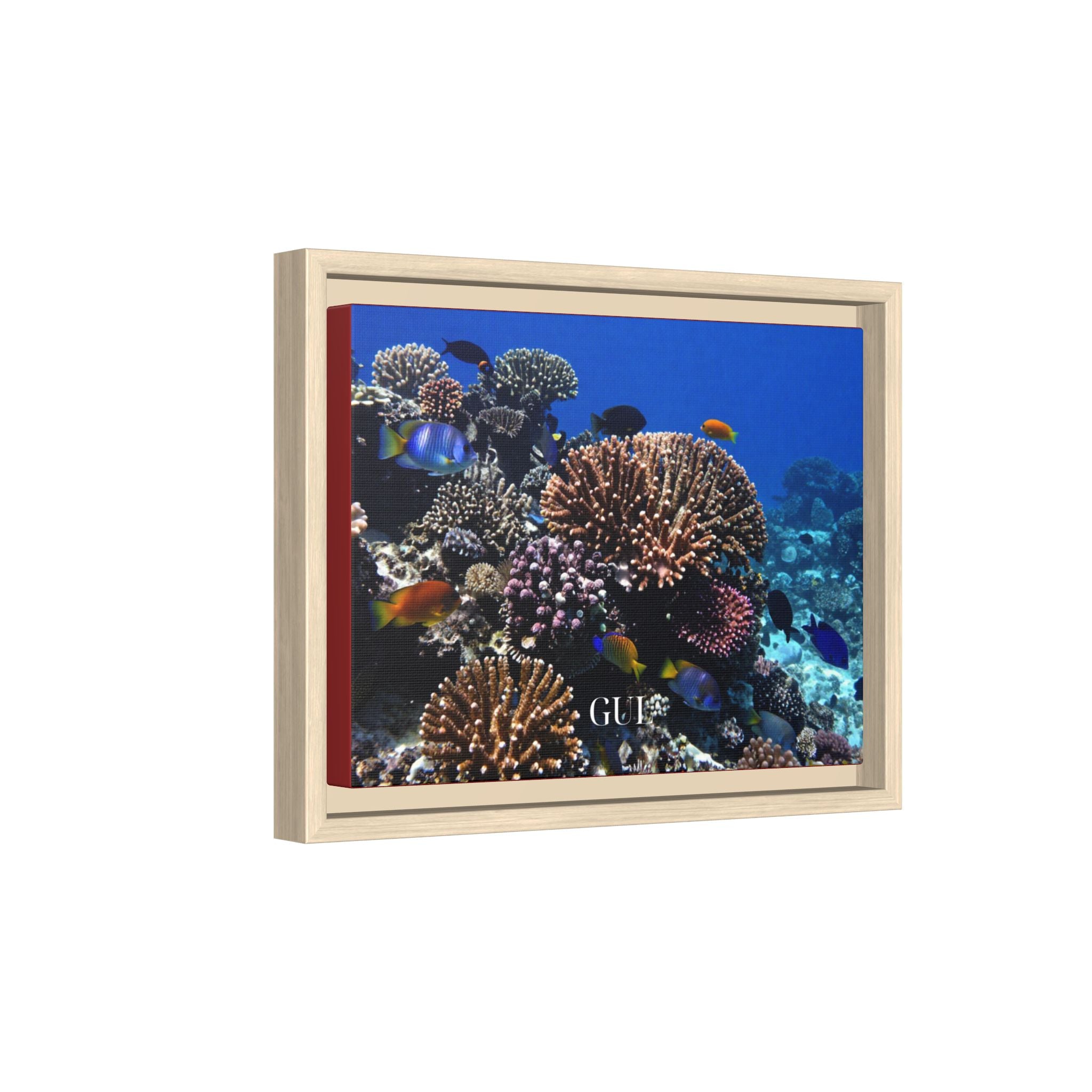 Framed Coral Reef Matte Canvas Wall Art — Tropical Ocean Photography Print