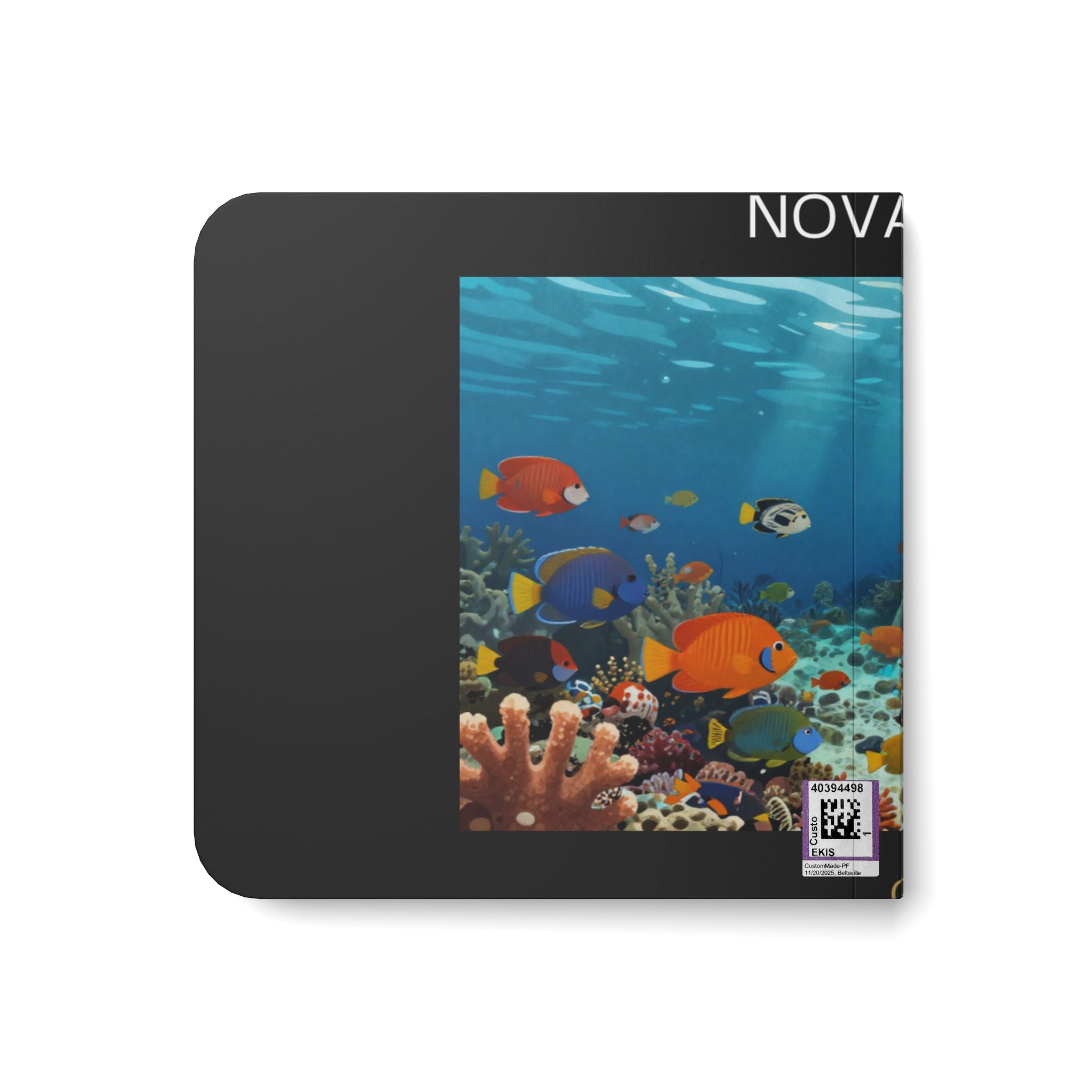 Underwater Reef Board Book — Colorful Ocean Fish Baby Book