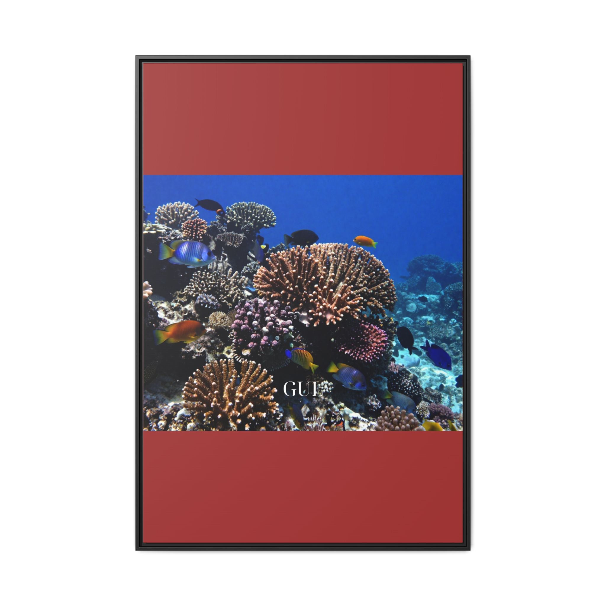 Framed Coral Reef Matte Canvas Wall Art — Tropical Ocean Photography Print