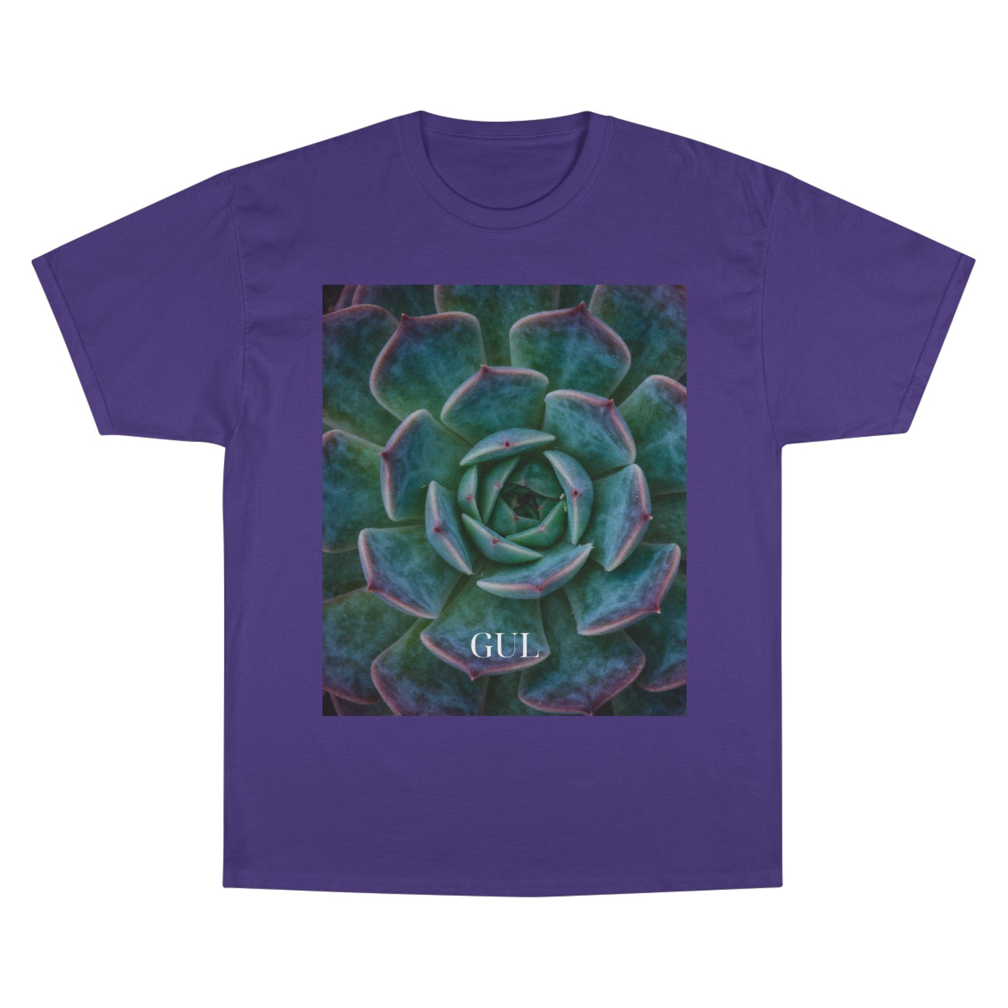 Champion Graphic T‑Shirt — Succulent & Pyramid Photo Print Tee