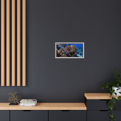 Framed Coral Reef Matte Canvas Wall Art — Tropical Ocean Photography Print
