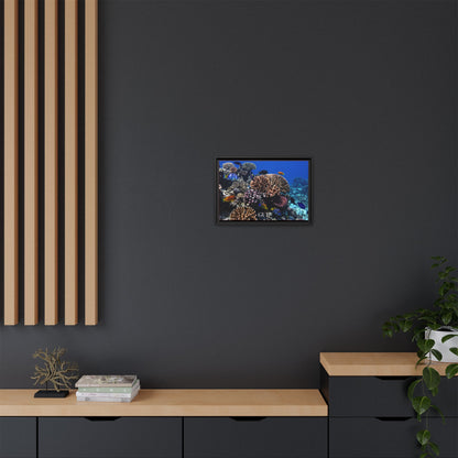 Framed Coral Reef Matte Canvas Wall Art — Tropical Ocean Photography Print
