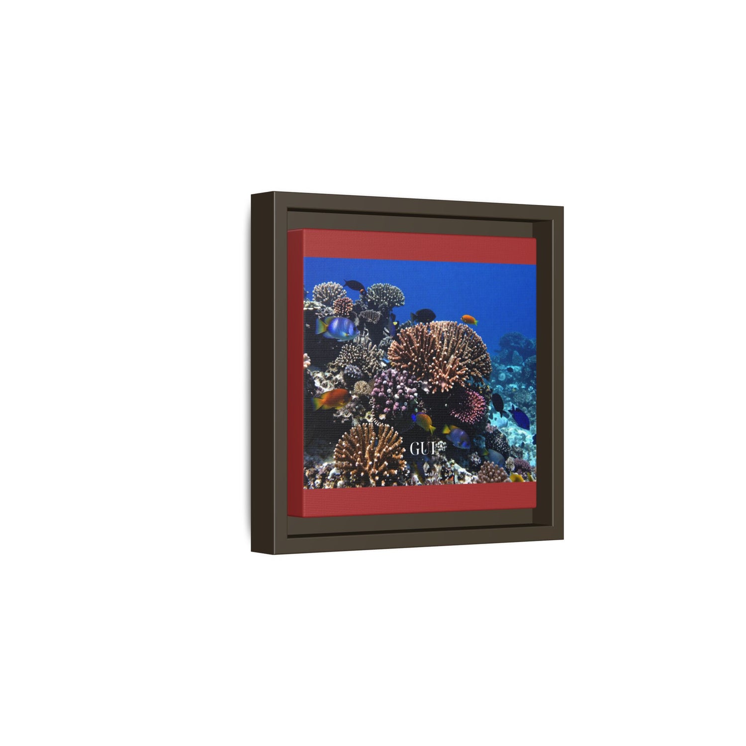 Framed Coral Reef Matte Canvas Wall Art — Tropical Ocean Photography Print
