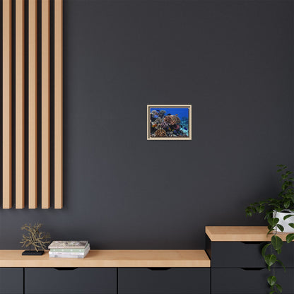 Framed Coral Reef Matte Canvas Wall Art — Tropical Ocean Photography Print