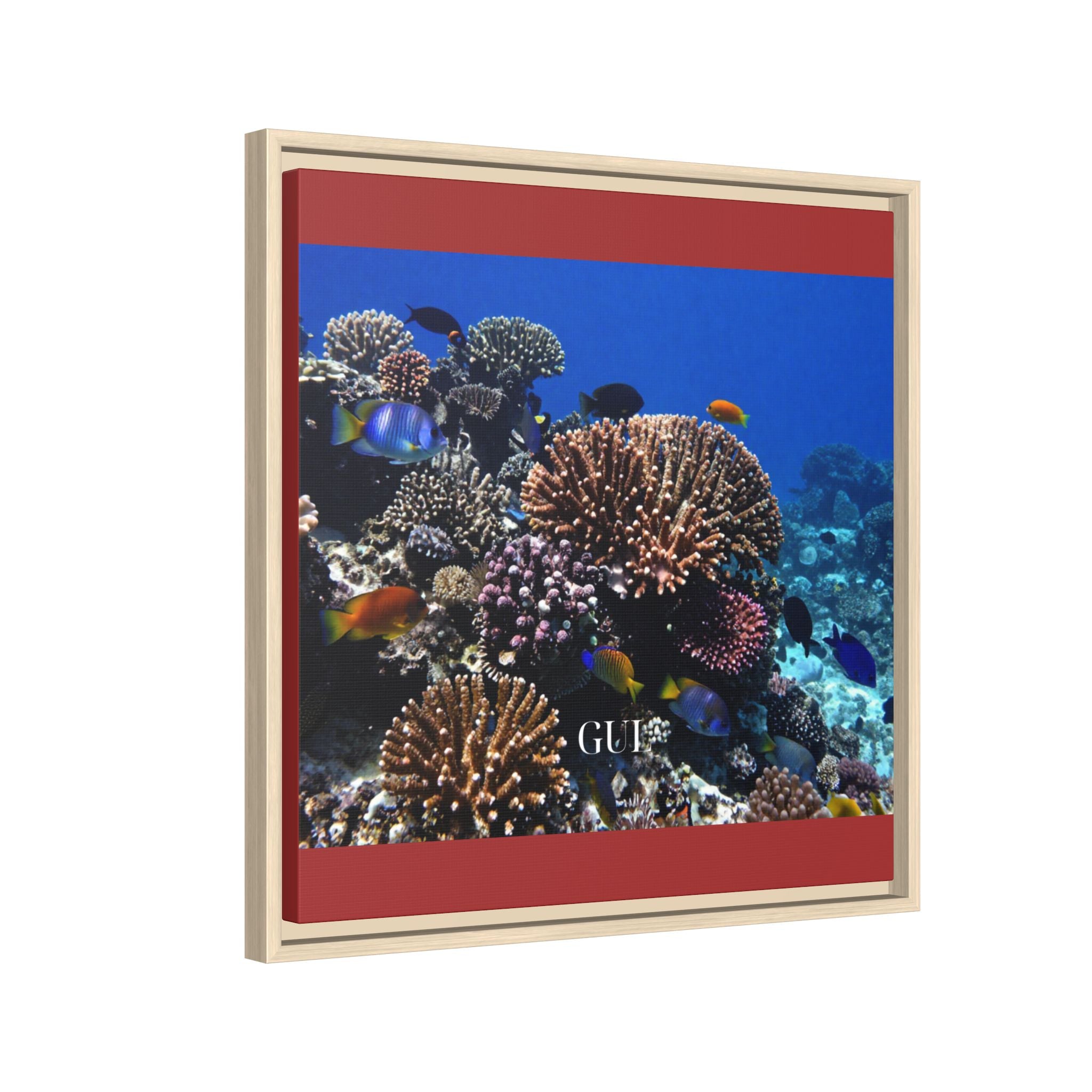 Framed Coral Reef Matte Canvas Wall Art — Tropical Ocean Photography Print