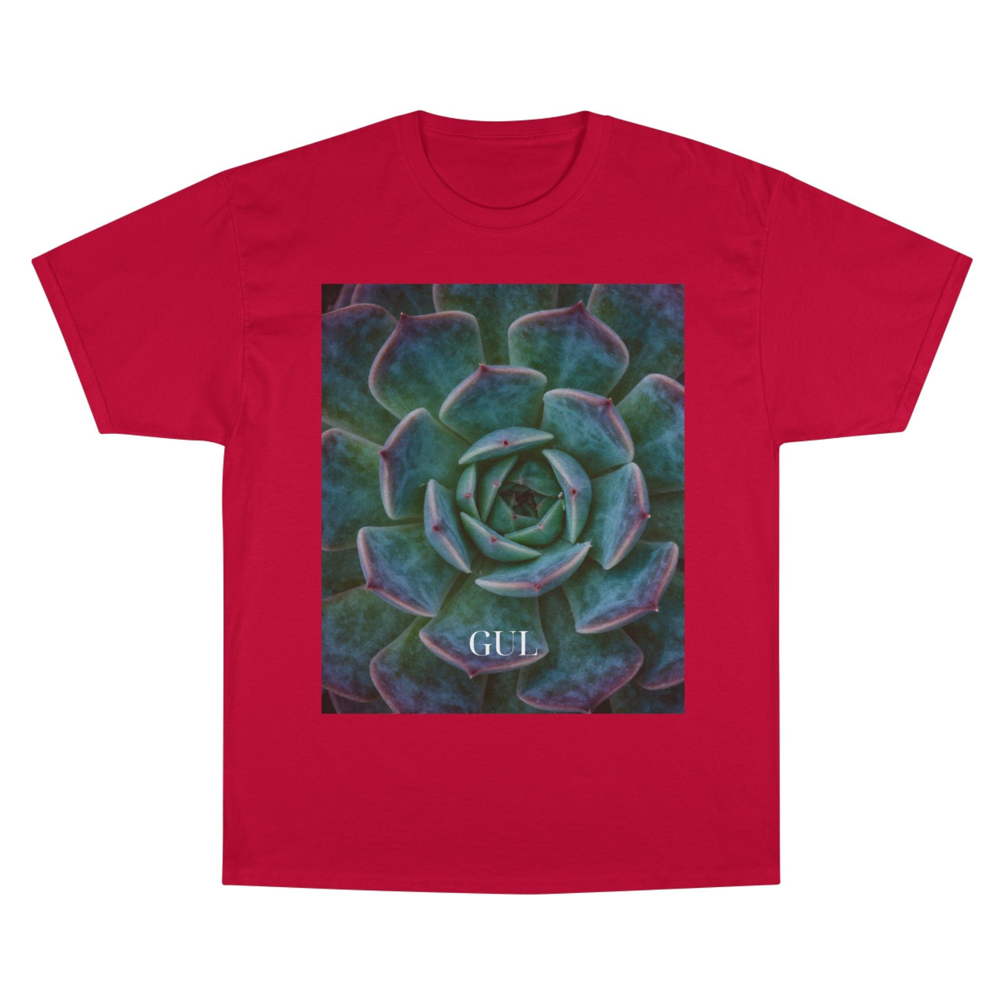 Champion Graphic T‑Shirt — Succulent &amp; Pyramid Photo Print Tee