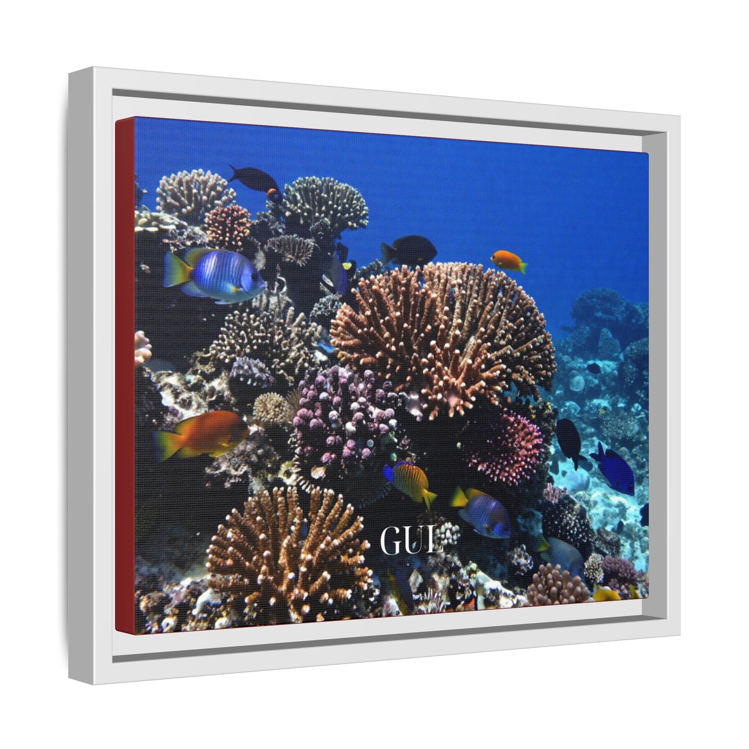 Framed Coral Reef Matte Canvas Wall Art — Tropical Ocean Photography Print