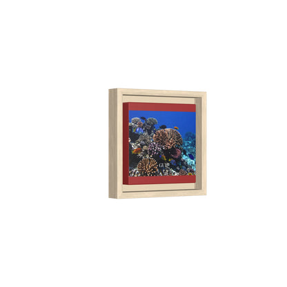 Framed Coral Reef Matte Canvas Wall Art — Tropical Ocean Photography Print