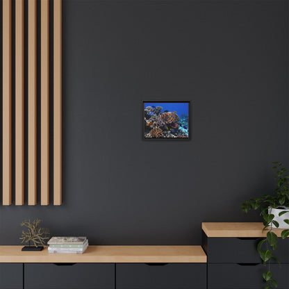 Framed Coral Reef Matte Canvas Wall Art — Tropical Ocean Photography Print