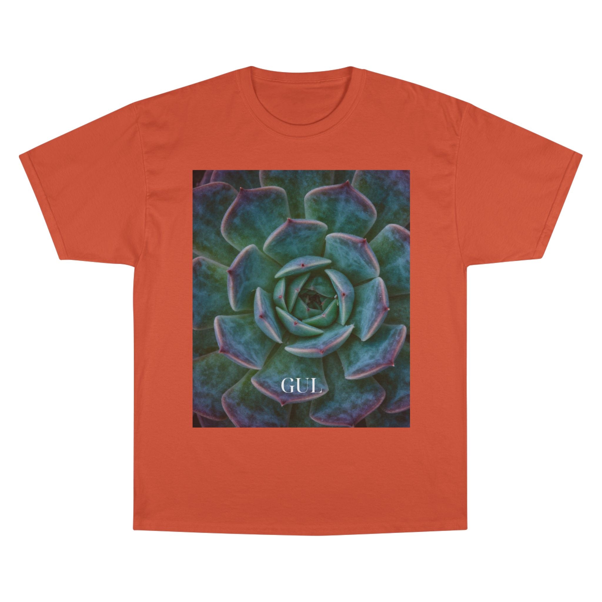 Champion Graphic T‑Shirt — Succulent &amp; Pyramid Photo Print Tee