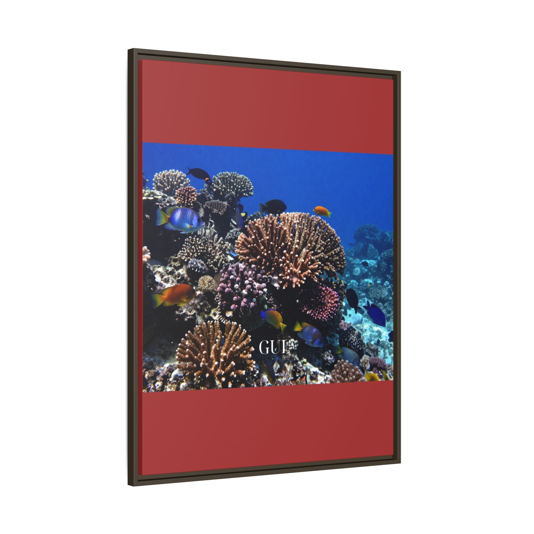 Framed Coral Reef Matte Canvas Wall Art — Tropical Ocean Photography Print