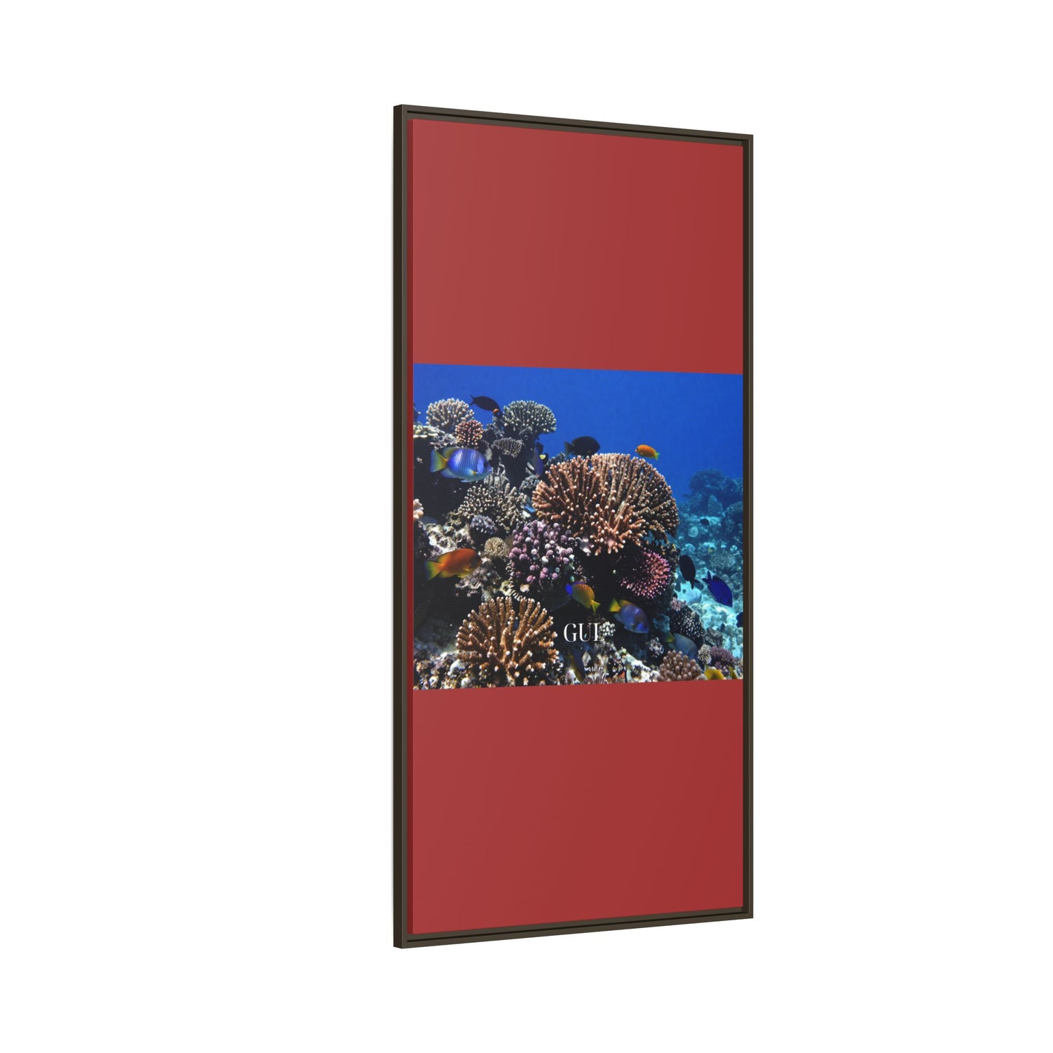 Framed Coral Reef Matte Canvas Wall Art — Tropical Ocean Photography Print