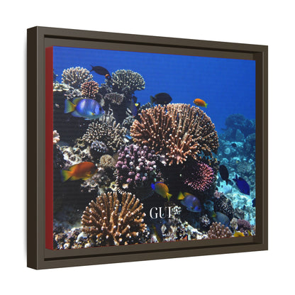 Framed Coral Reef Matte Canvas Wall Art — Tropical Ocean Photography Print