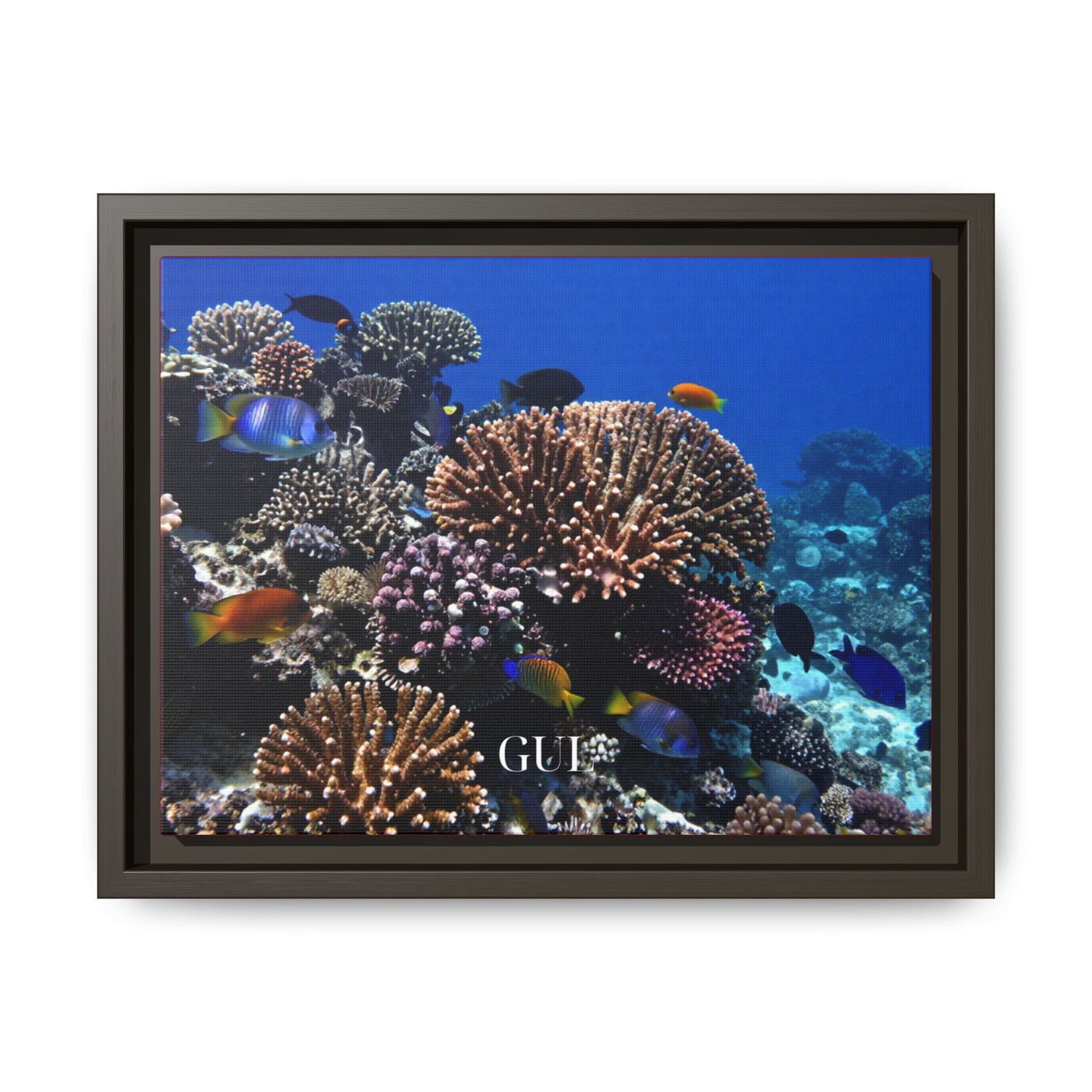 Framed Coral Reef Matte Canvas Wall Art — Tropical Ocean Photography Print