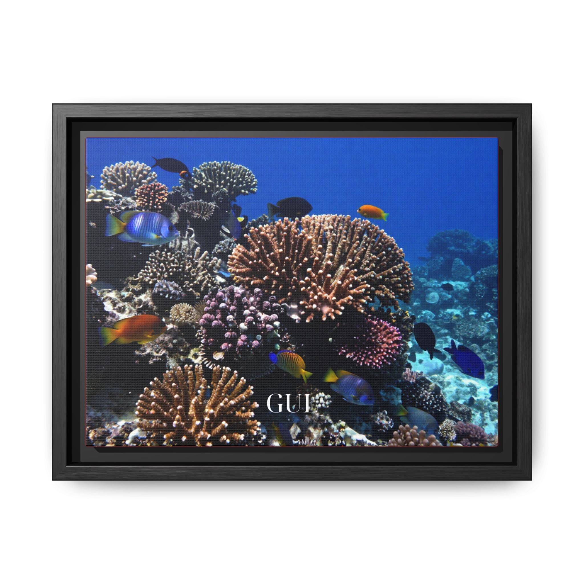 Framed Coral Reef Matte Canvas Wall Art — Tropical Ocean Photography Print