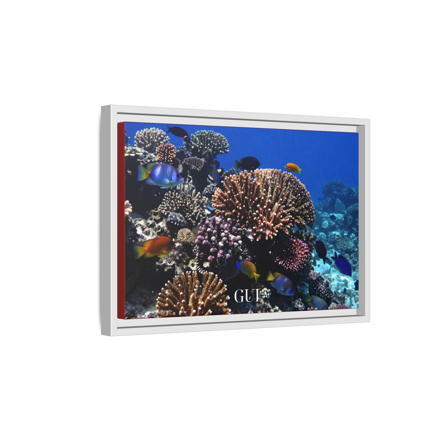 Framed Coral Reef Matte Canvas Wall Art — Tropical Ocean Photography Print