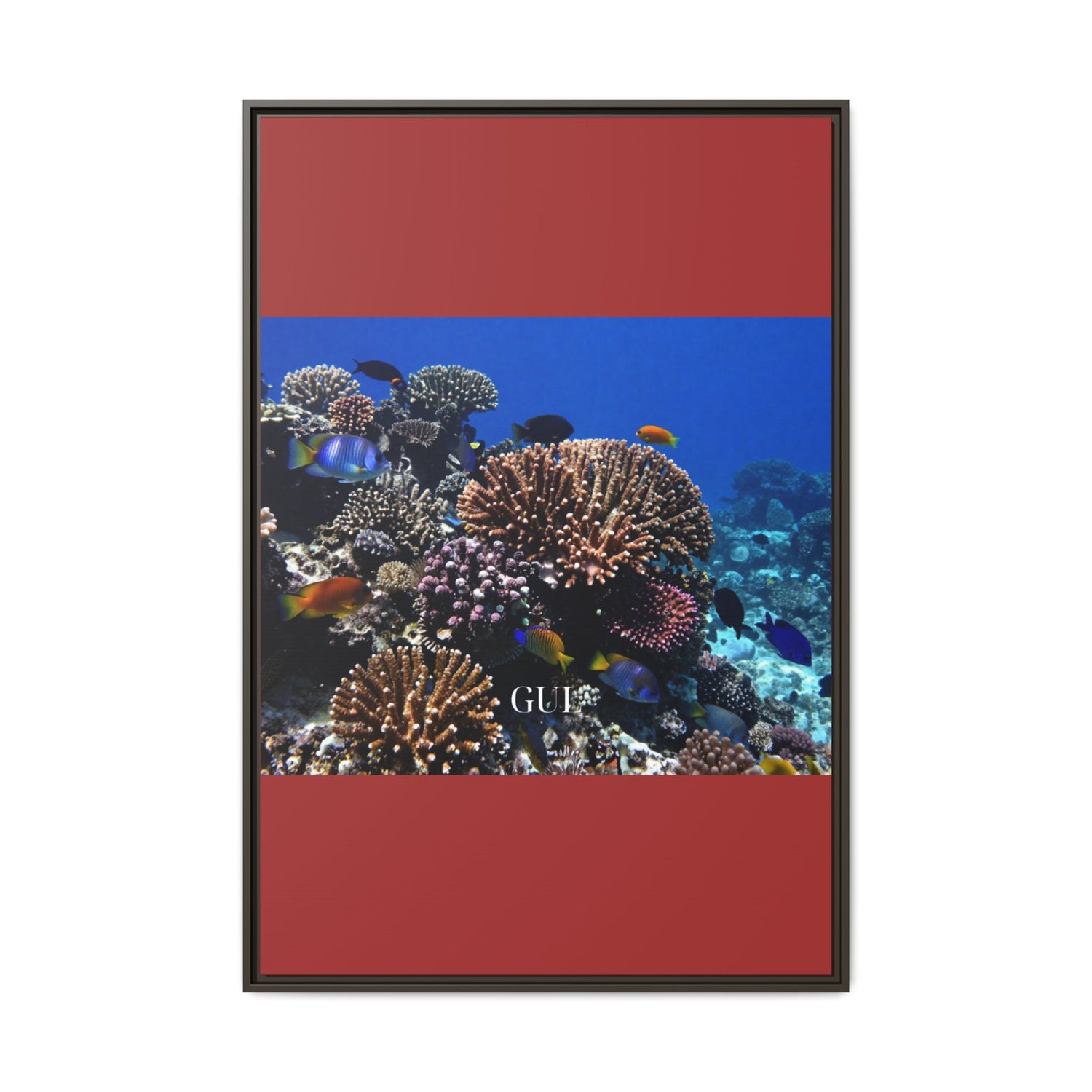 Framed Coral Reef Matte Canvas Wall Art — Tropical Ocean Photography Print