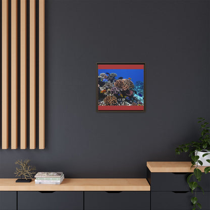 Framed Coral Reef Matte Canvas Wall Art — Tropical Ocean Photography Print