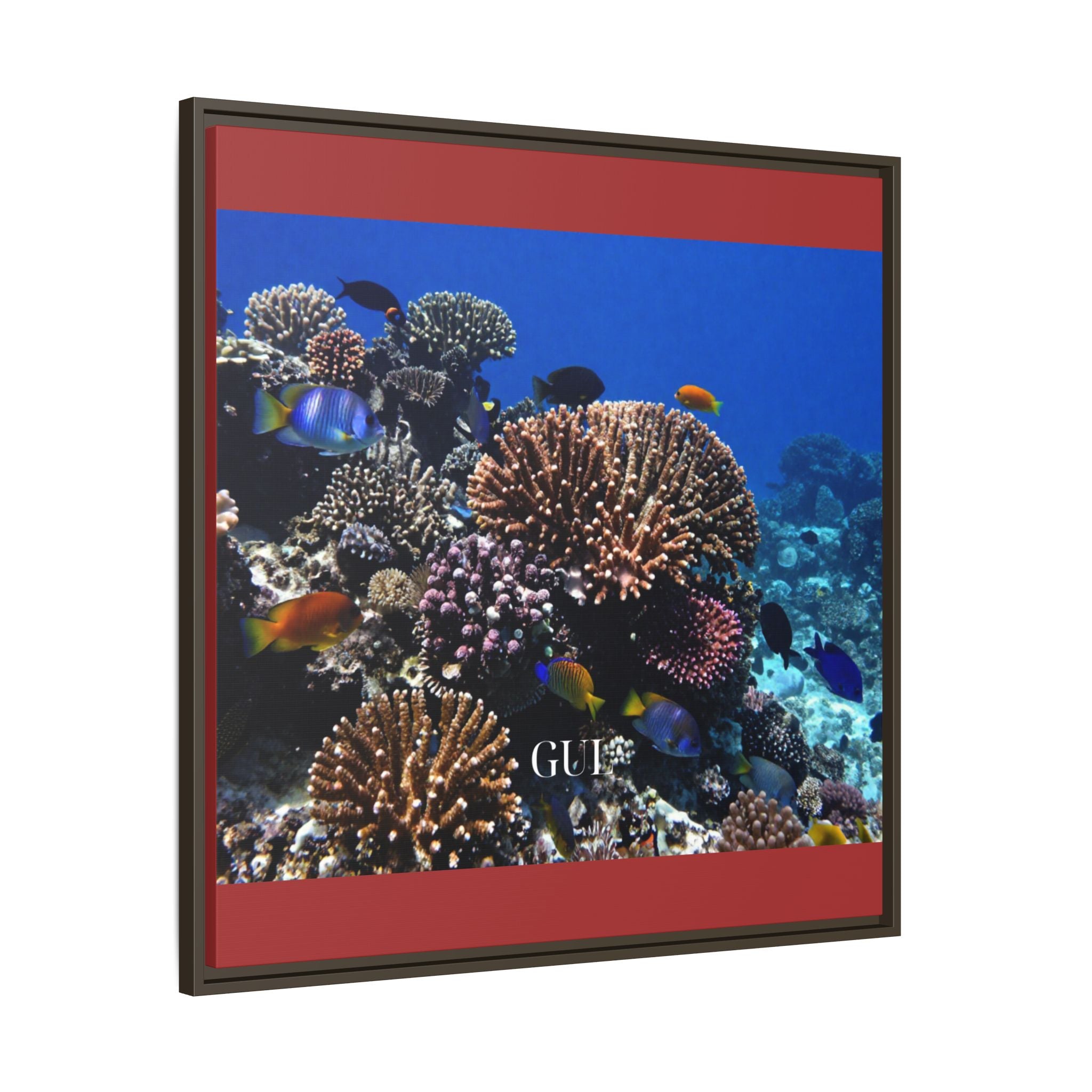 Framed Coral Reef Matte Canvas Wall Art — Tropical Ocean Photography Print