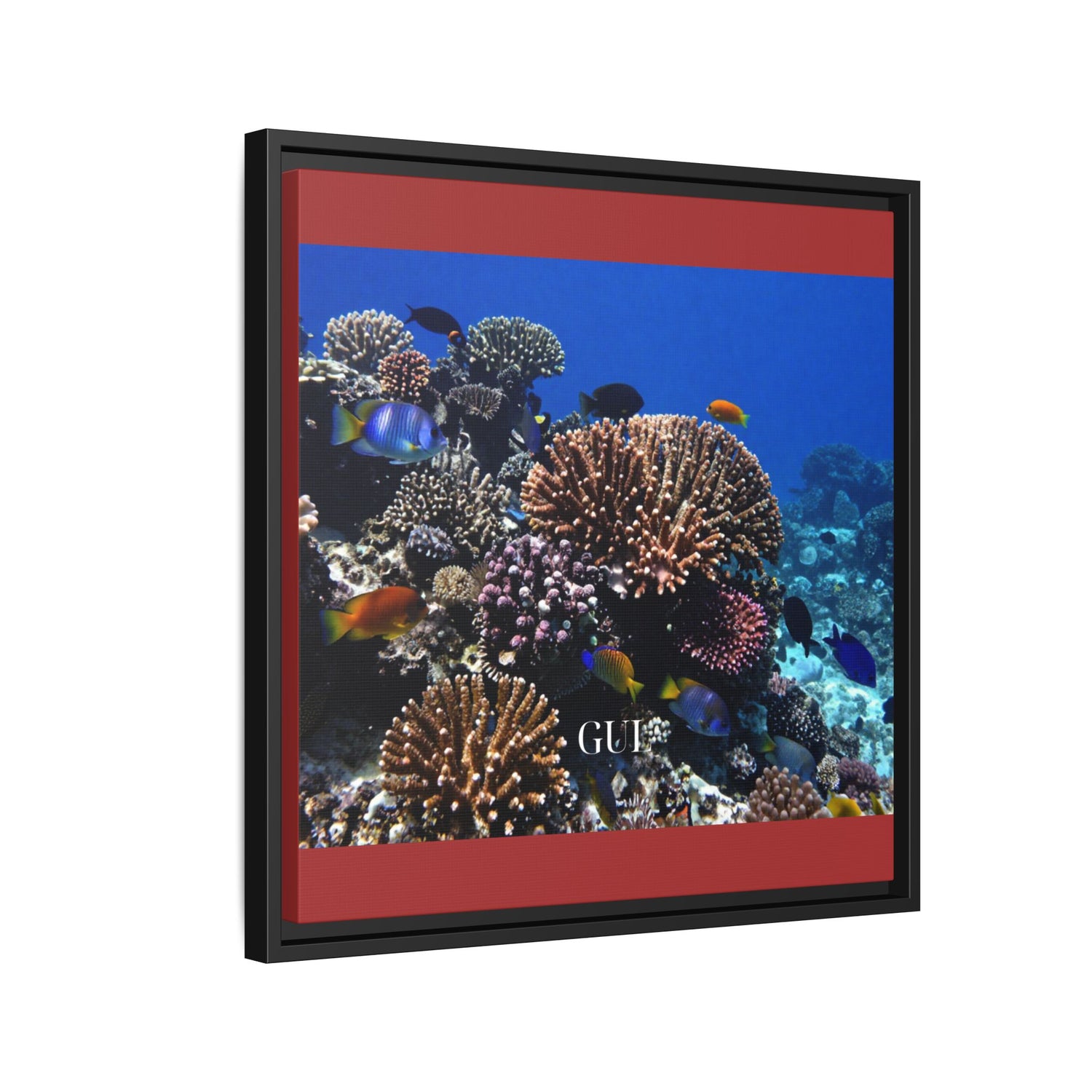 Framed Coral Reef Matte Canvas Wall Art — Tropical Ocean Photography Print
