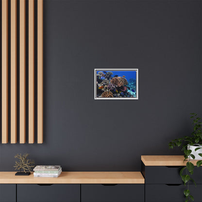 Framed Coral Reef Matte Canvas Wall Art — Tropical Ocean Photography Print