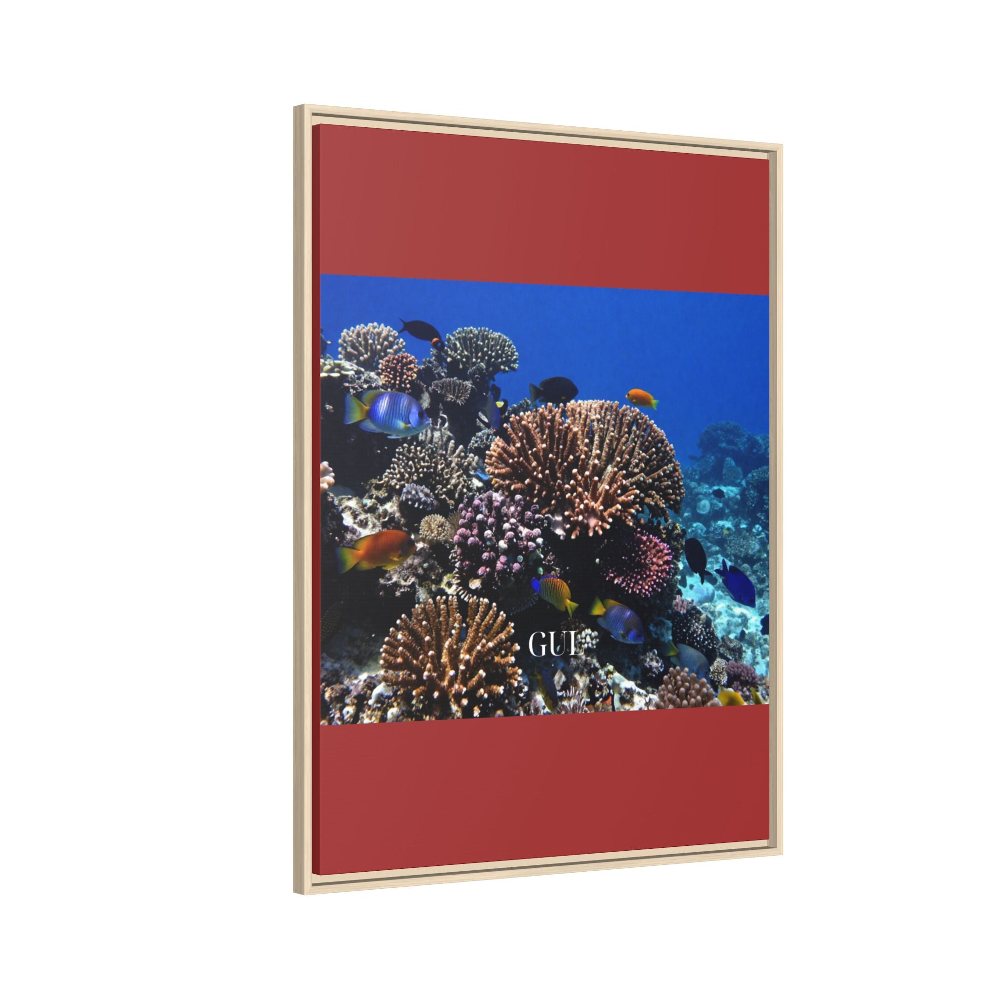 Framed Coral Reef Matte Canvas Wall Art — Tropical Ocean Photography Print