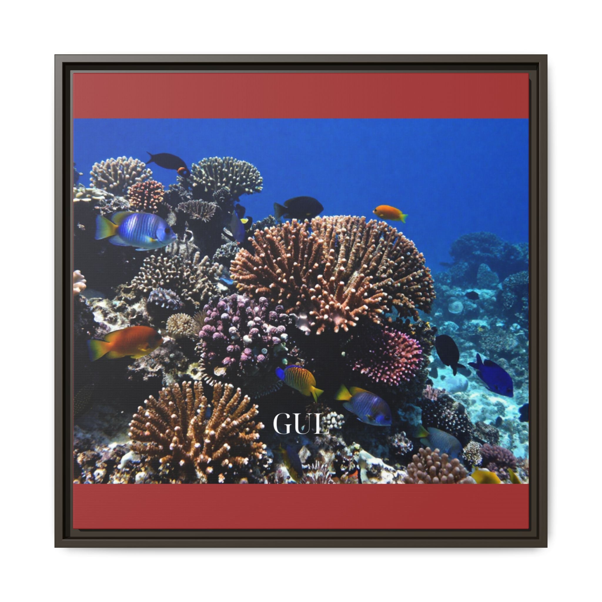 Framed Coral Reef Matte Canvas Wall Art — Tropical Ocean Photography Print