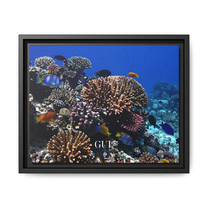 Framed Coral Reef Matte Canvas Wall Art — Tropical Ocean Photography Print