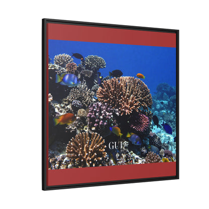 Framed Coral Reef Matte Canvas Wall Art — Tropical Ocean Photography Print