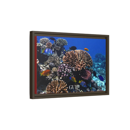 Framed Coral Reef Matte Canvas Wall Art — Tropical Ocean Photography Print