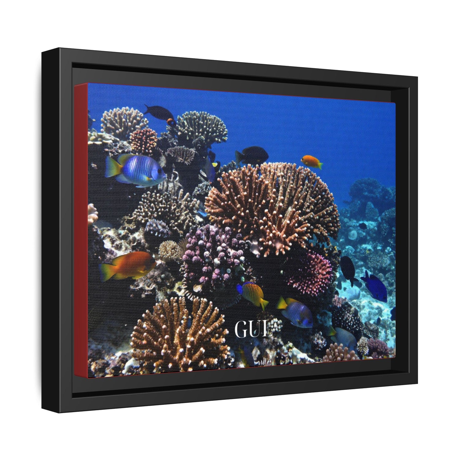Framed Coral Reef Matte Canvas Wall Art — Tropical Ocean Photography Print