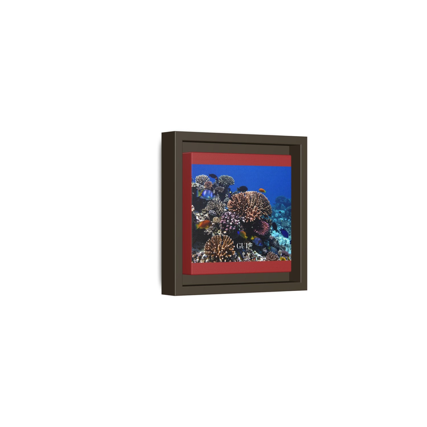 Framed Coral Reef Matte Canvas Wall Art — Tropical Ocean Photography Print