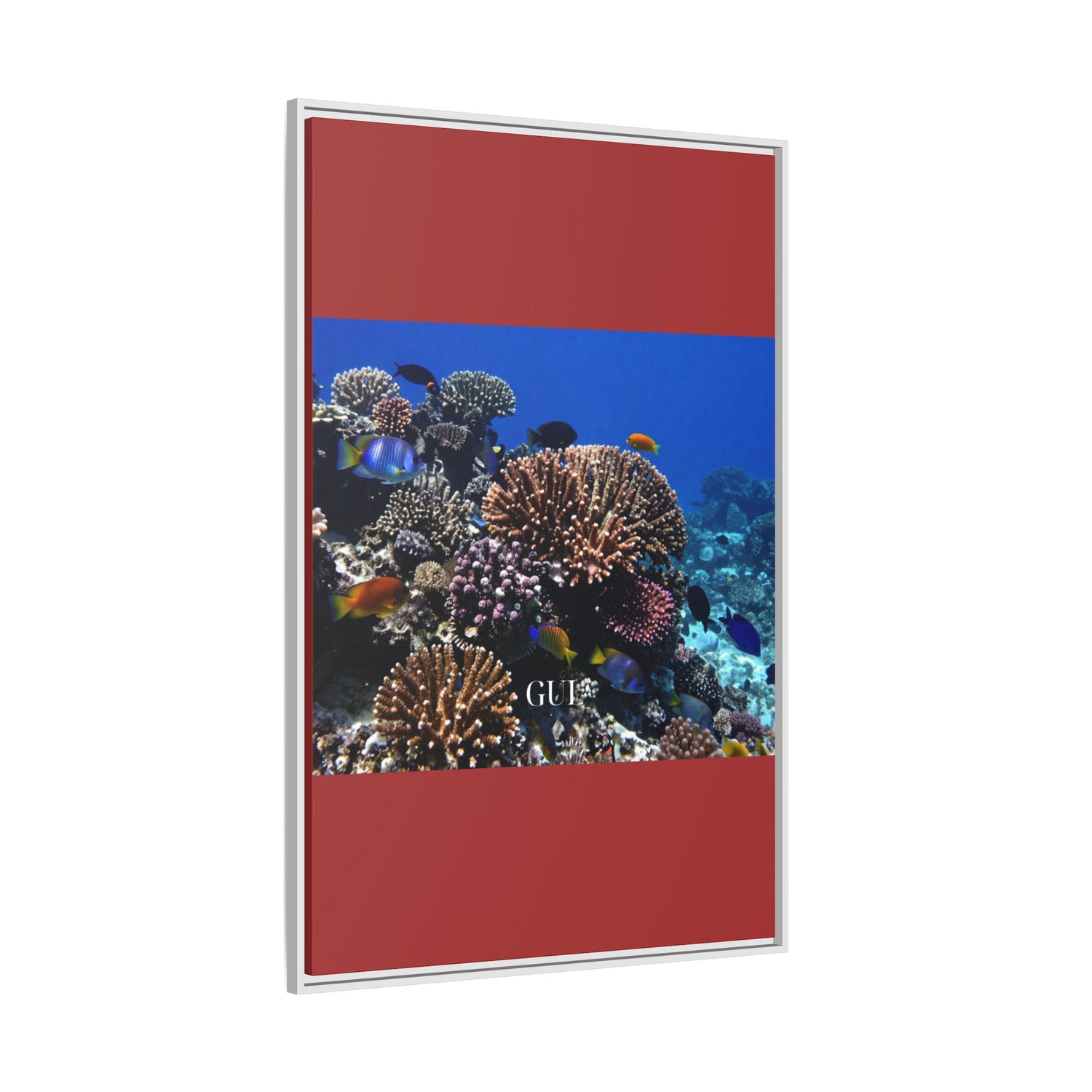 Framed Coral Reef Matte Canvas Wall Art — Tropical Ocean Photography Print