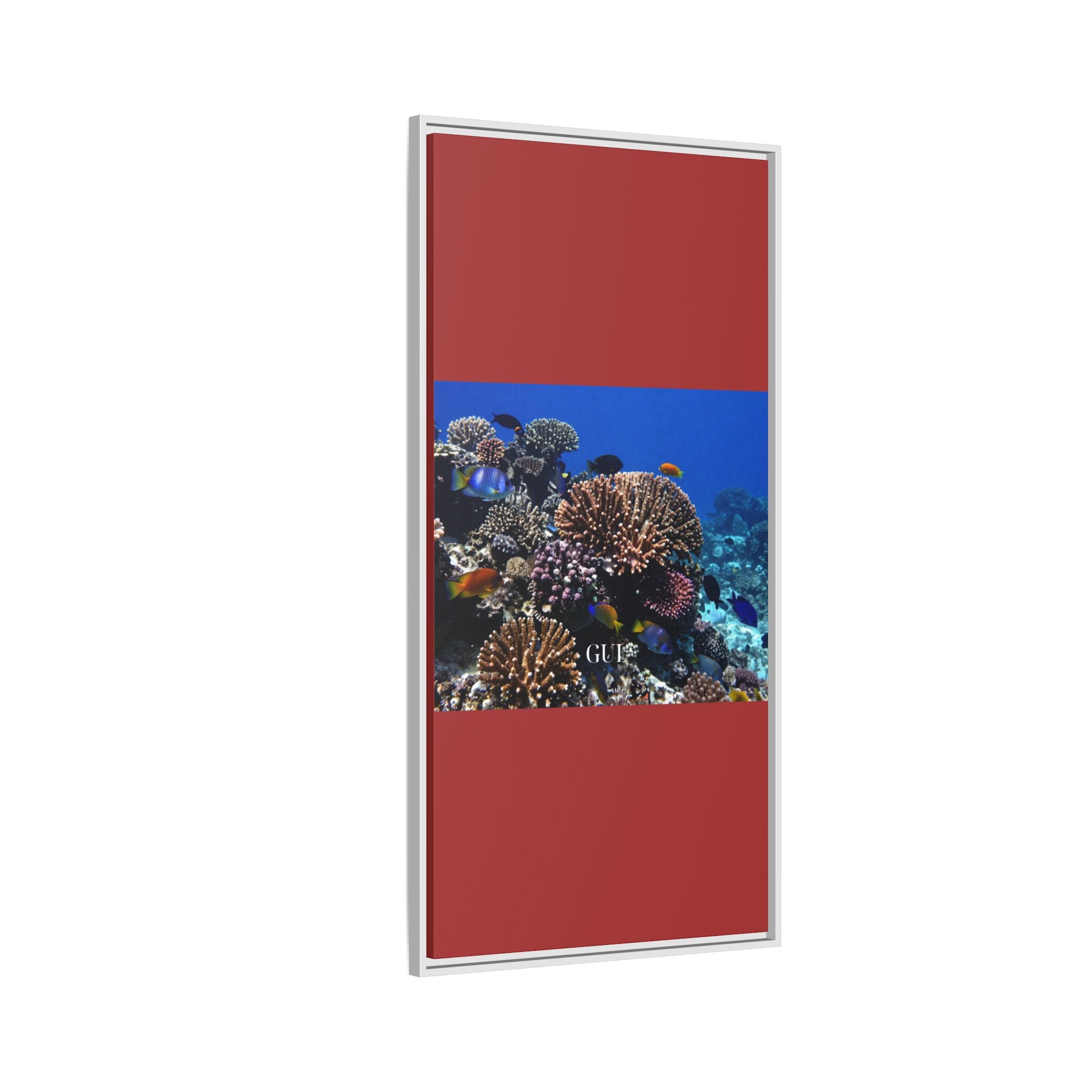 Framed Coral Reef Matte Canvas Wall Art — Tropical Ocean Photography Print
