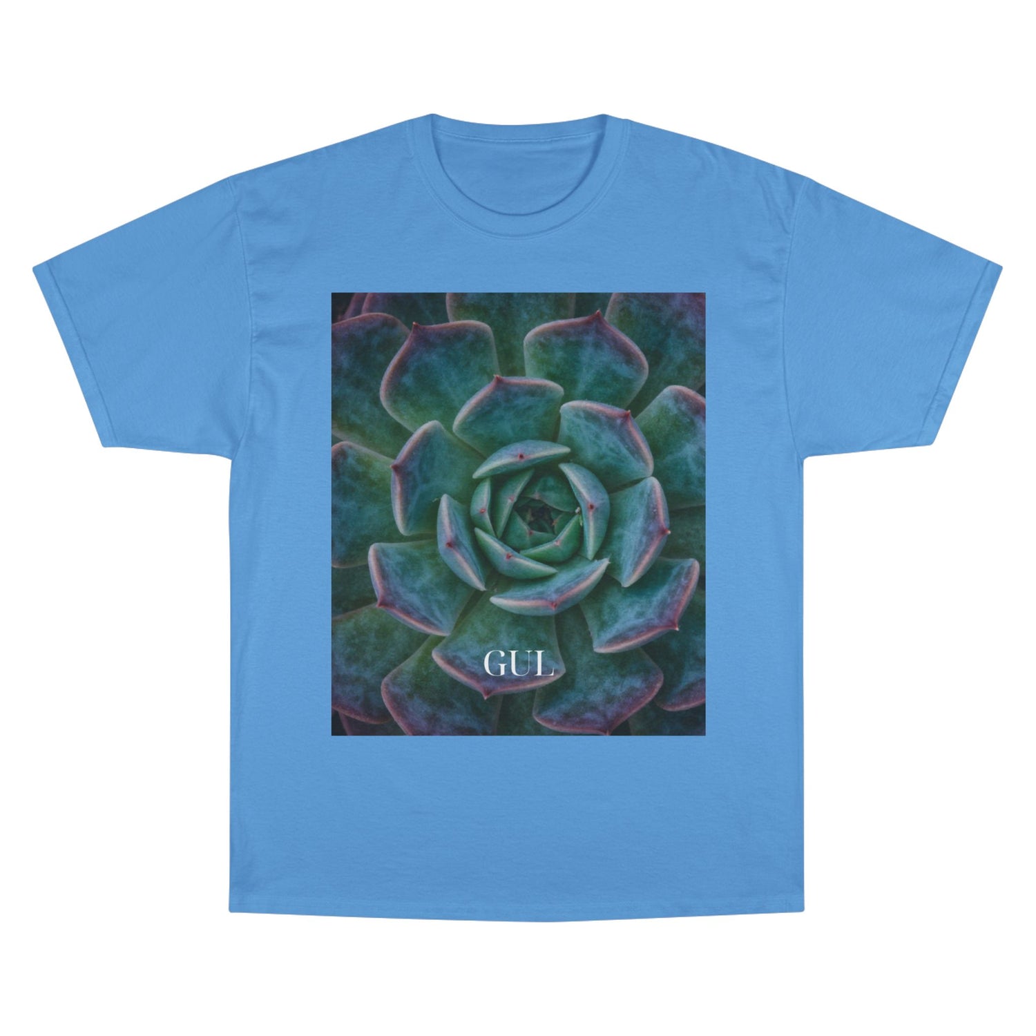 Champion Graphic T‑Shirt — Succulent &amp; Pyramid Photo Print Tee