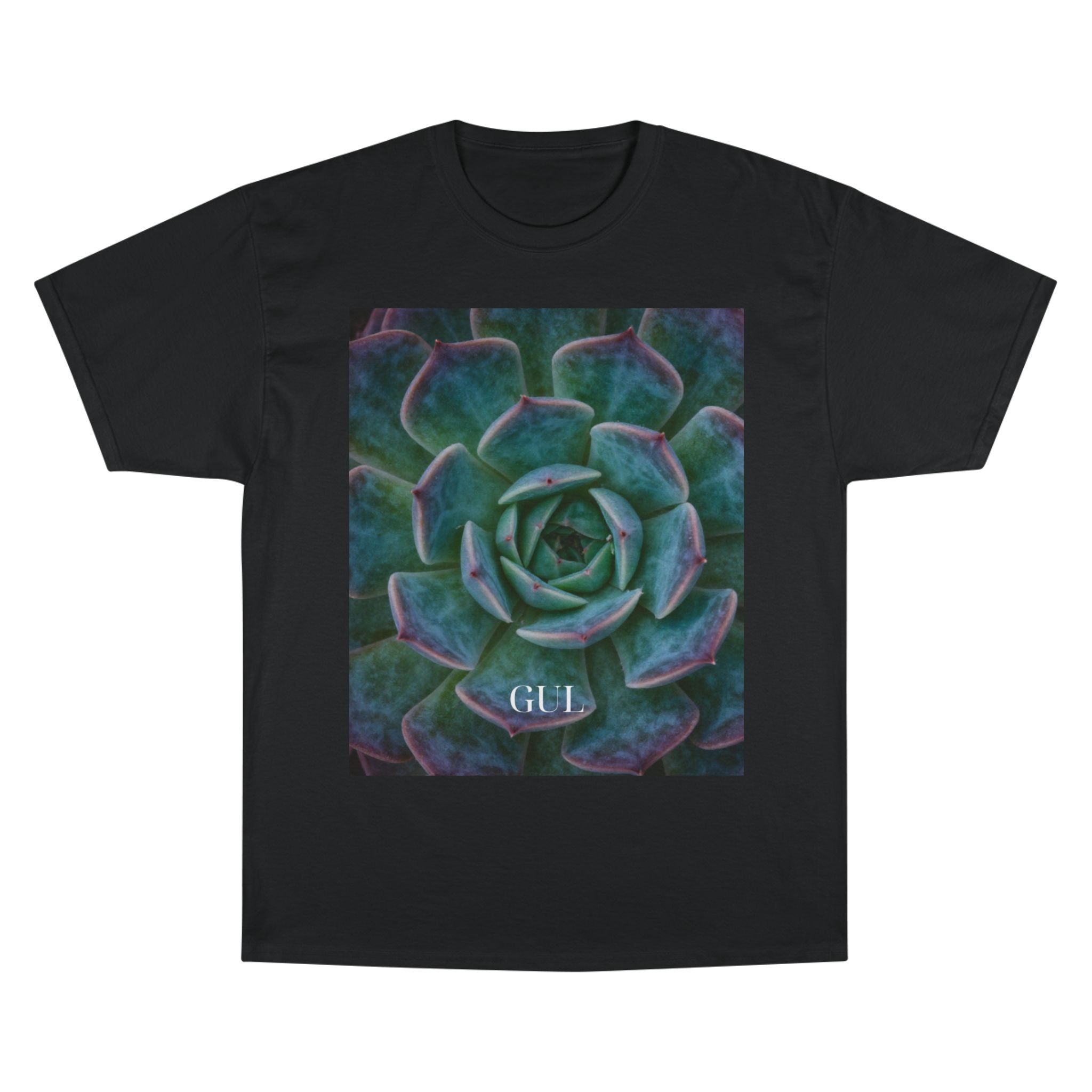 Champion Graphic T‑Shirt — Succulent &amp; Pyramid Photo Print Tee