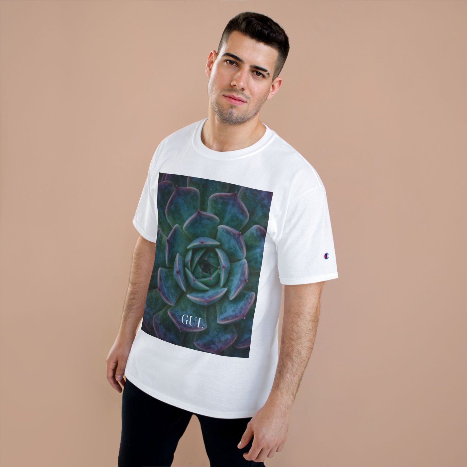 Champion Graphic T‑Shirt — Succulent &amp; Pyramid Photo Print Tee