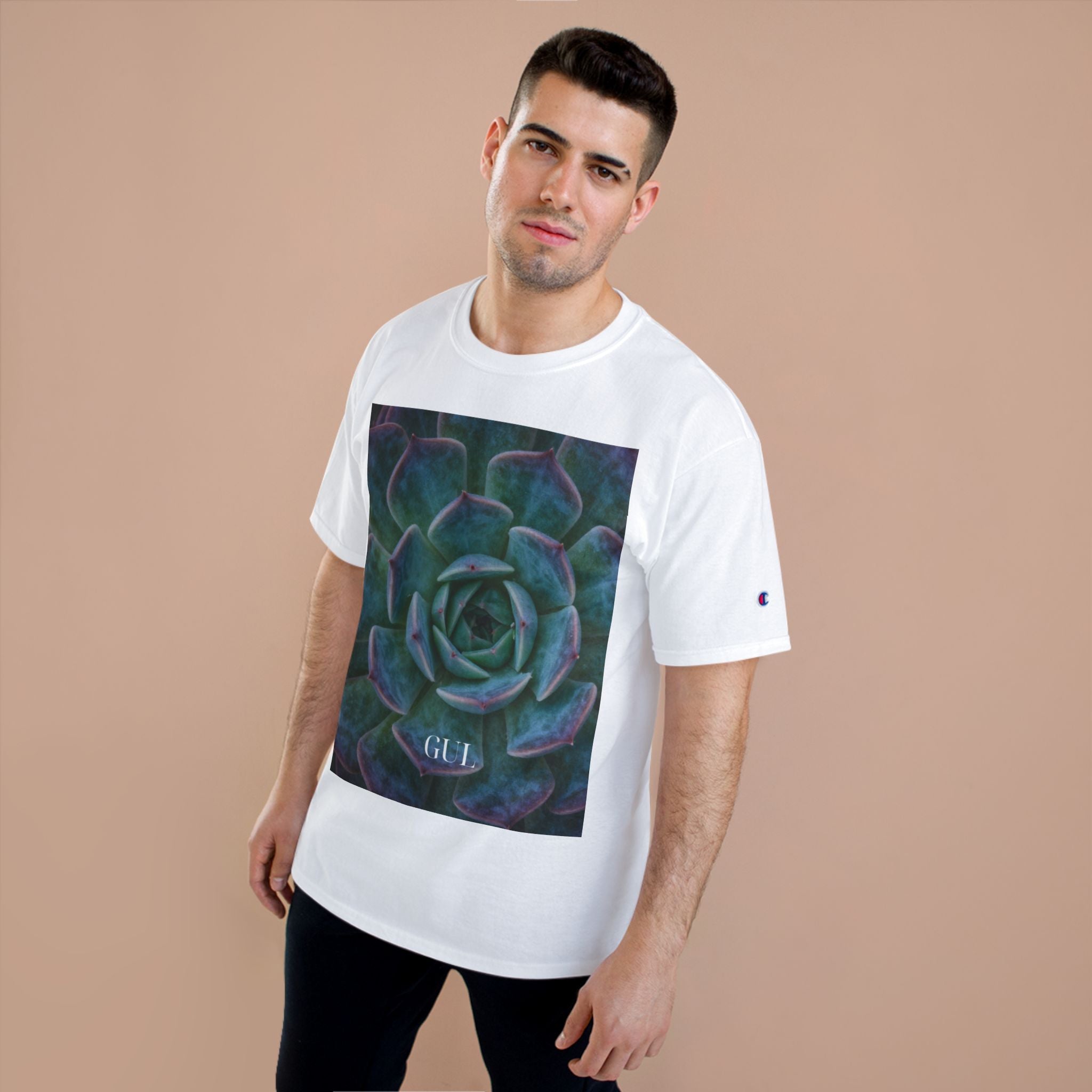 Champion Graphic T‑Shirt — Succulent &amp; Pyramid Photo Print Tee