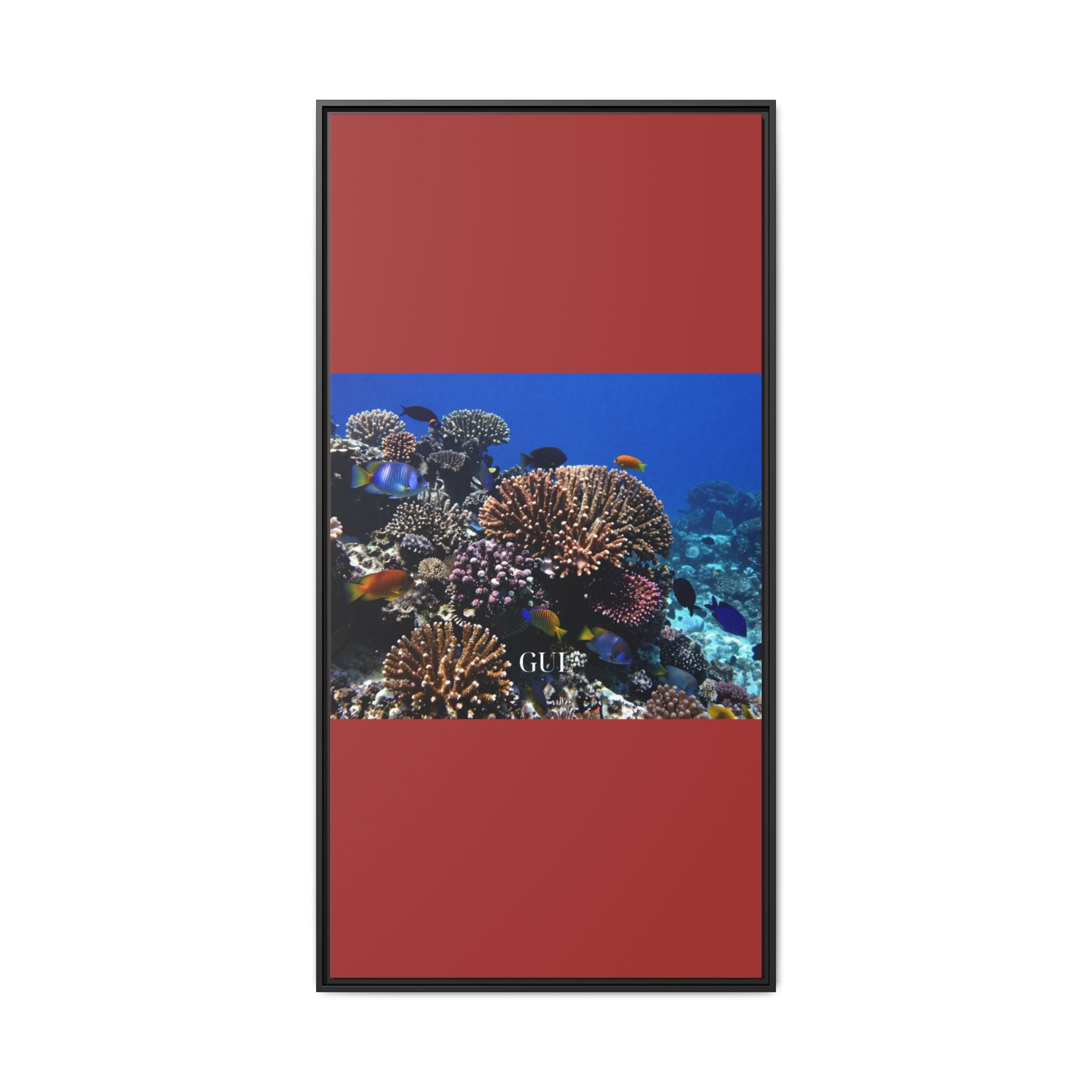 Framed Coral Reef Matte Canvas Wall Art — Tropical Ocean Photography Print