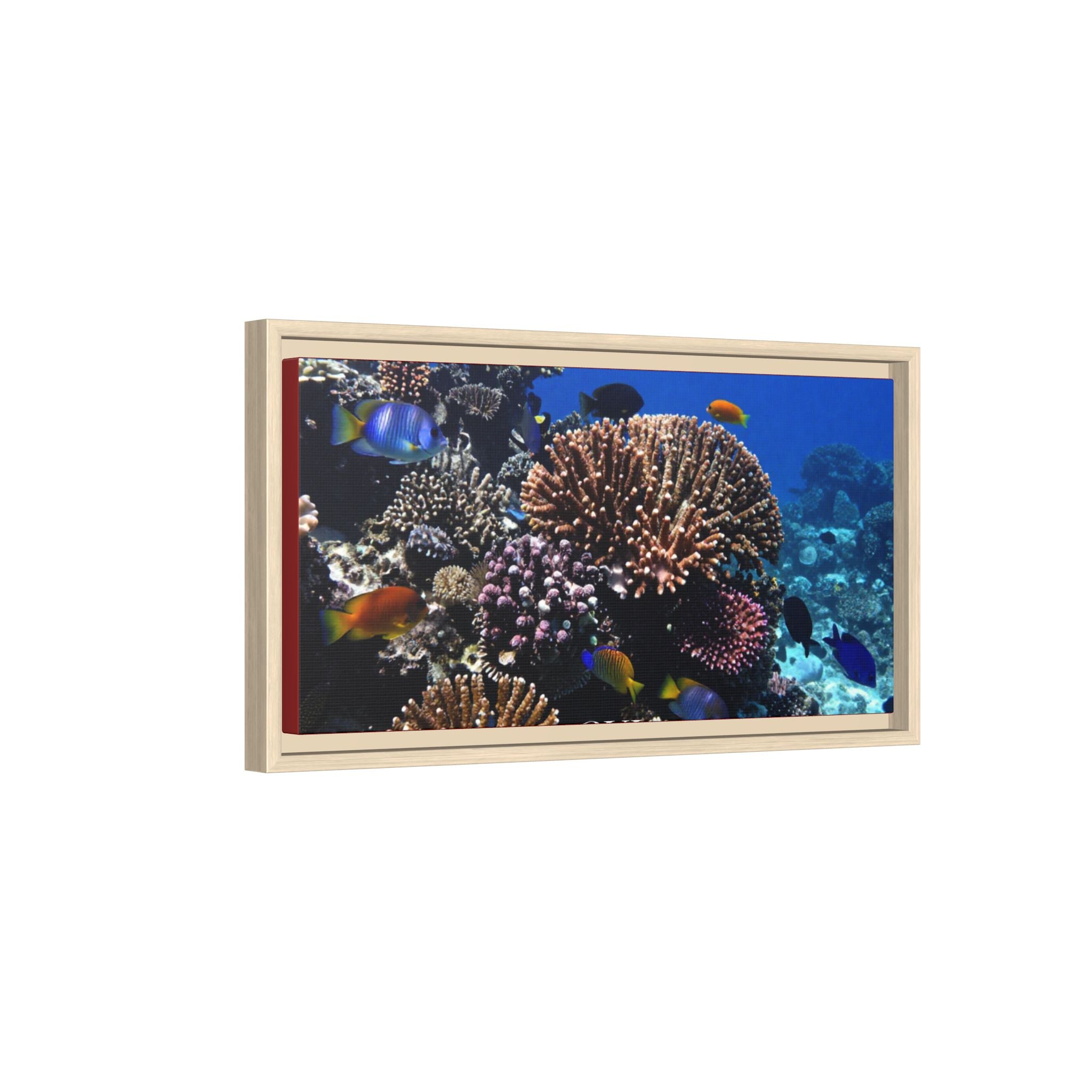Framed Coral Reef Matte Canvas Wall Art — Tropical Ocean Photography Print