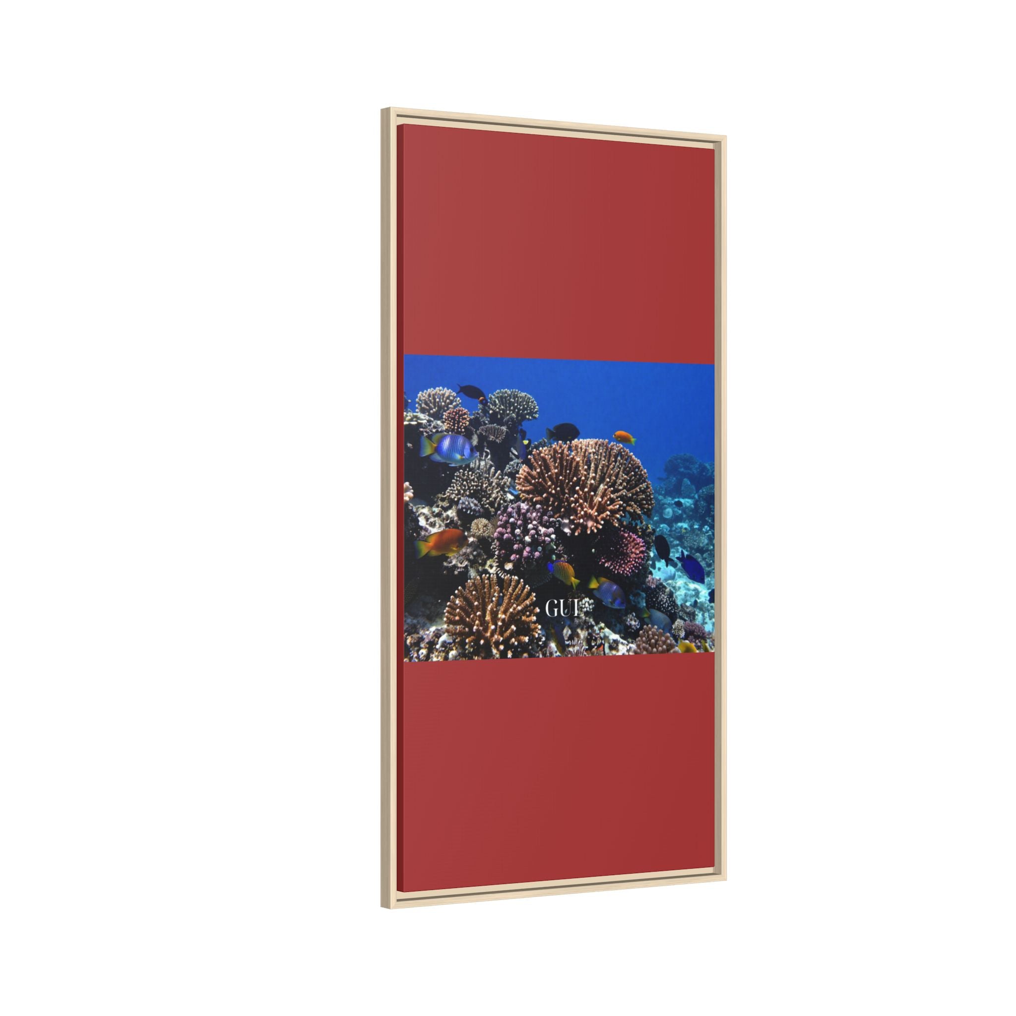 Framed Coral Reef Matte Canvas Wall Art — Tropical Ocean Photography Print