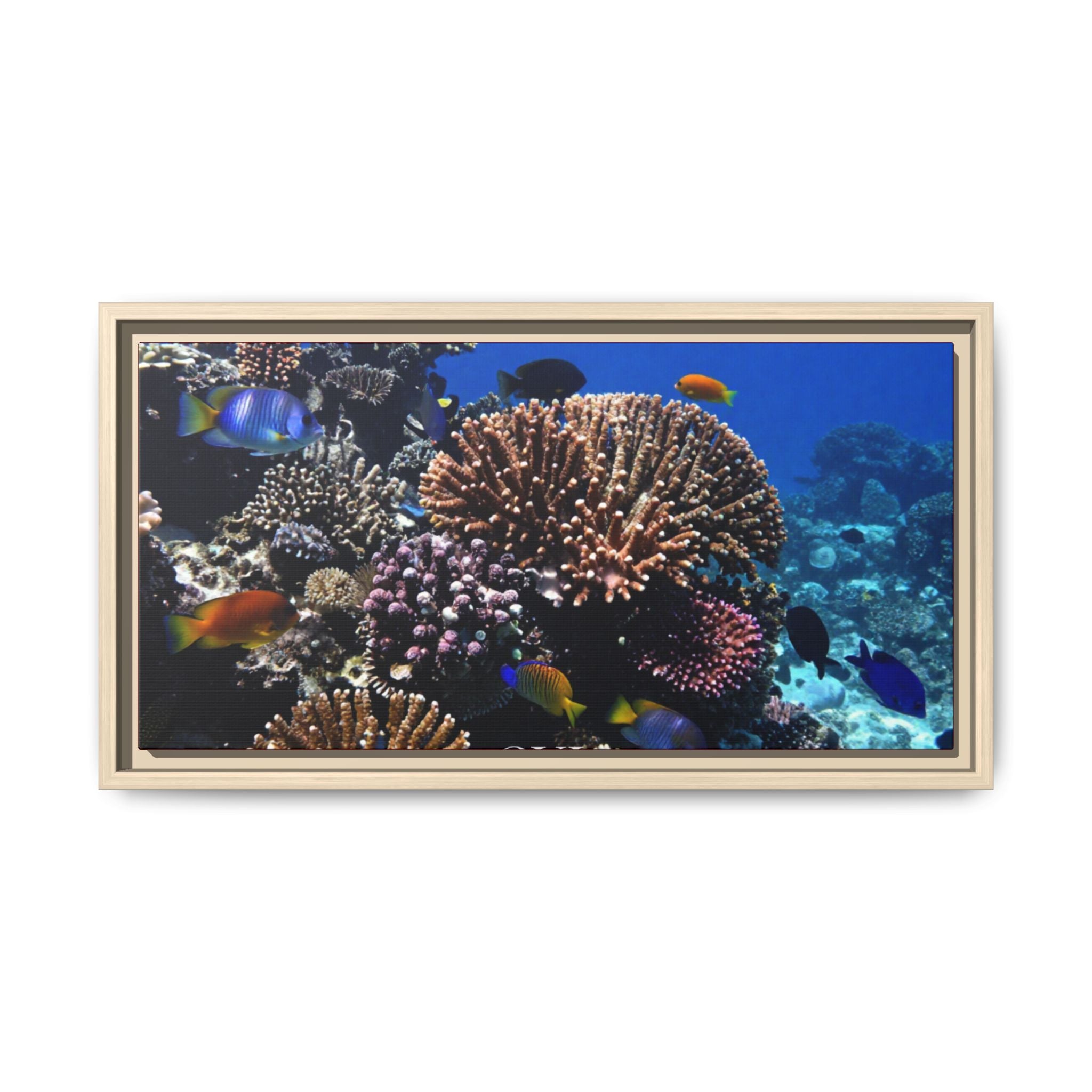 Framed Coral Reef Matte Canvas Wall Art — Tropical Ocean Photography Print
