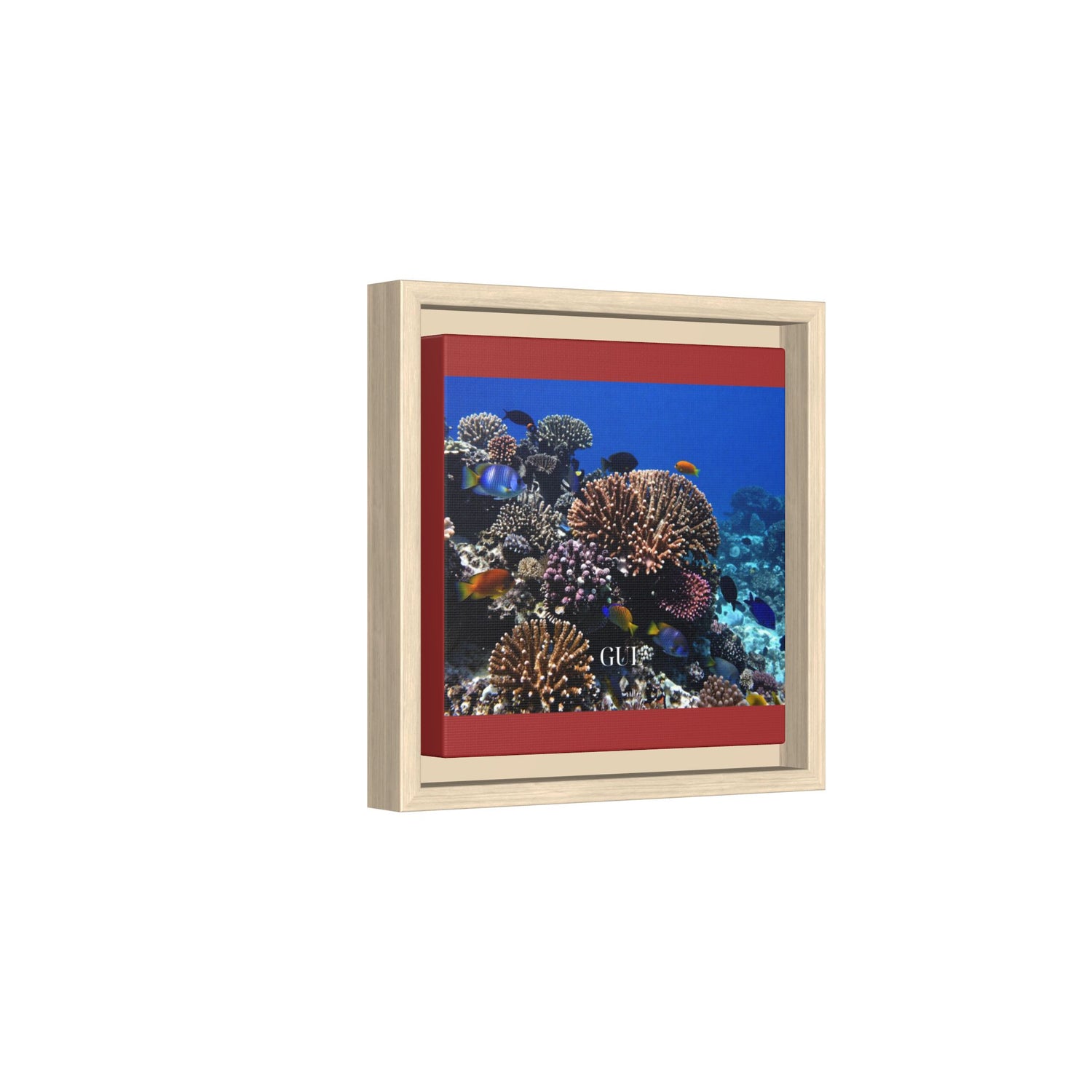 Framed Coral Reef Matte Canvas Wall Art — Tropical Ocean Photography Print